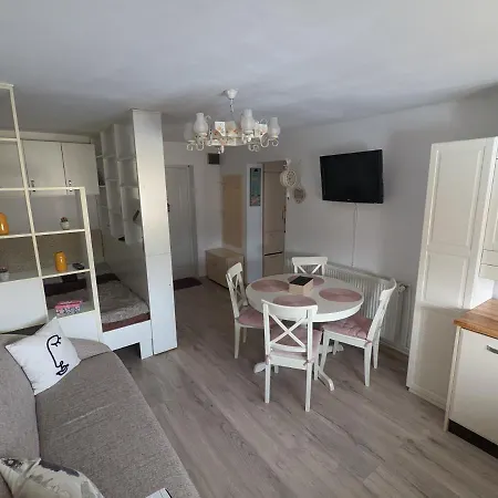 Apartment Tin Vatra Dornei